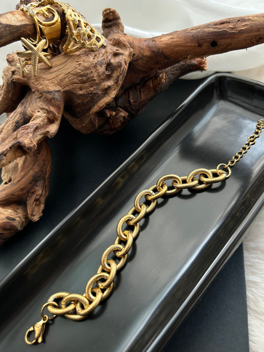 Bracelet 18k gold-plated Titanium Steel Chunky chain Trendy Jewelry 2025 GMJB5