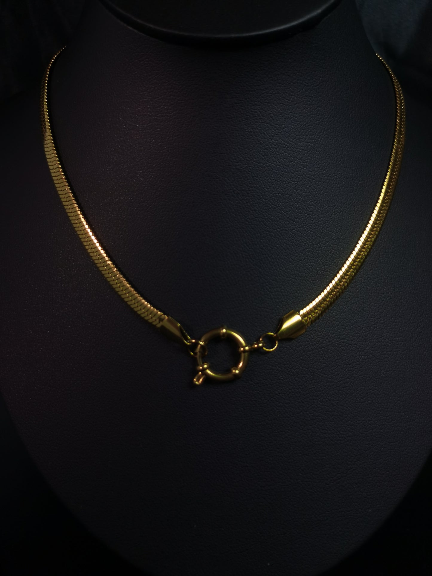 Snake Chain Necklace 18k gold-plated Titanium Steel Trendy Jewelry 2025 GMJBC2