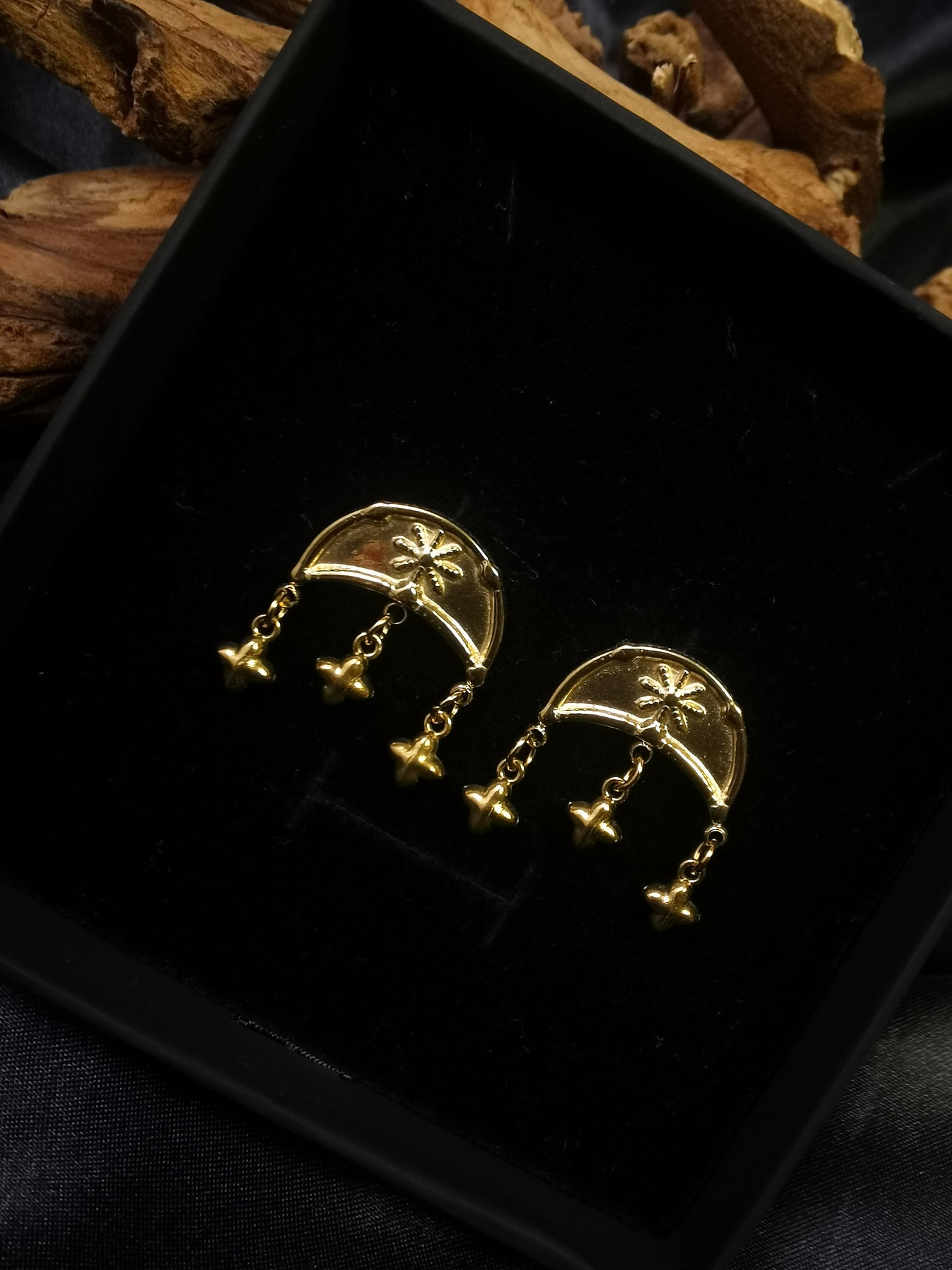 Moon Stars Earrings 18k gold-plated Titanium Steel GMJE17