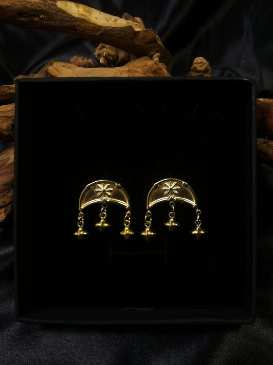 Moon Stars Earrings 18k gold-plated Titanium Steel GMJE17