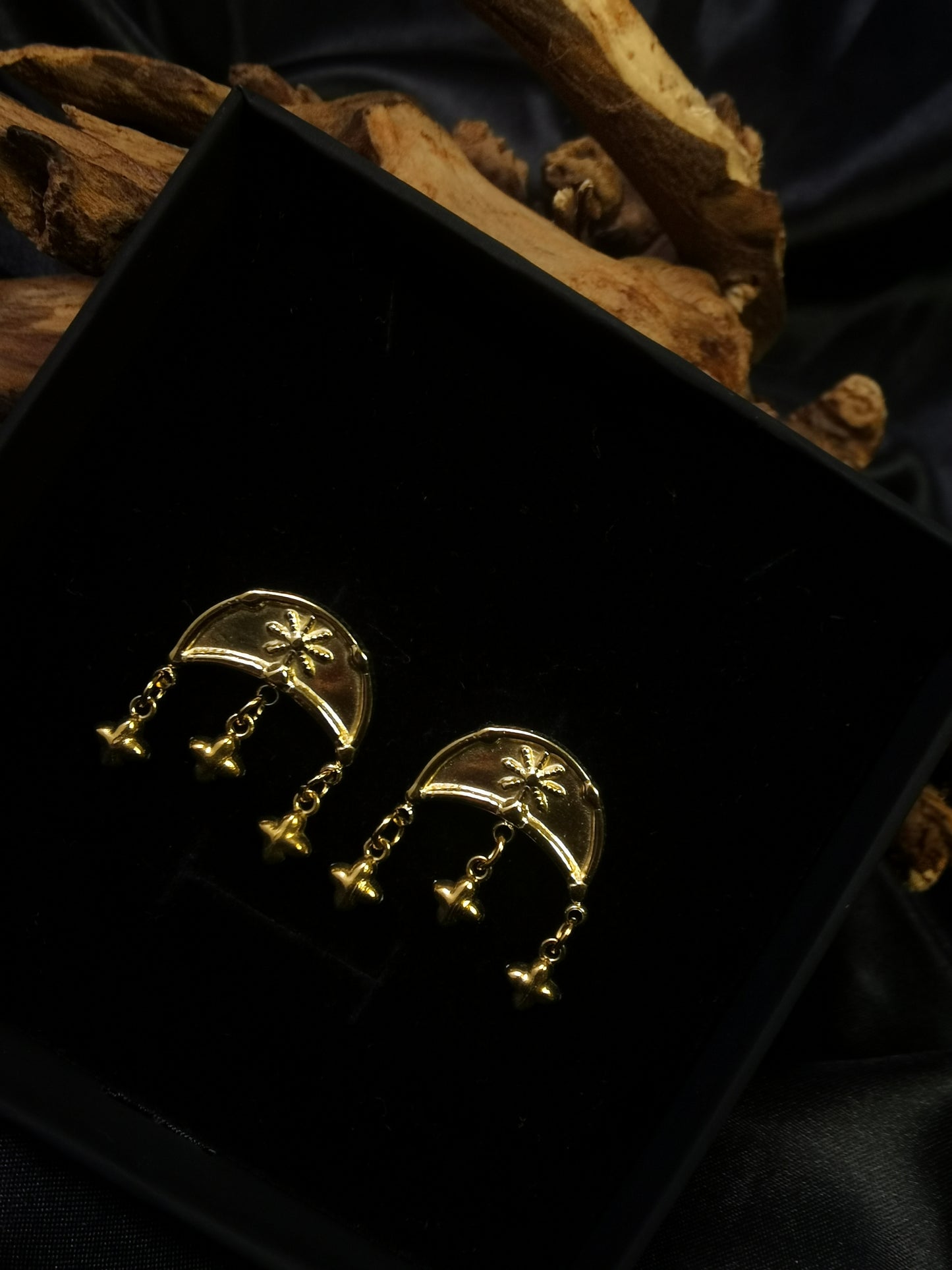 Moon Stars Earrings 18k gold-plated Titanium Steel GMJE17