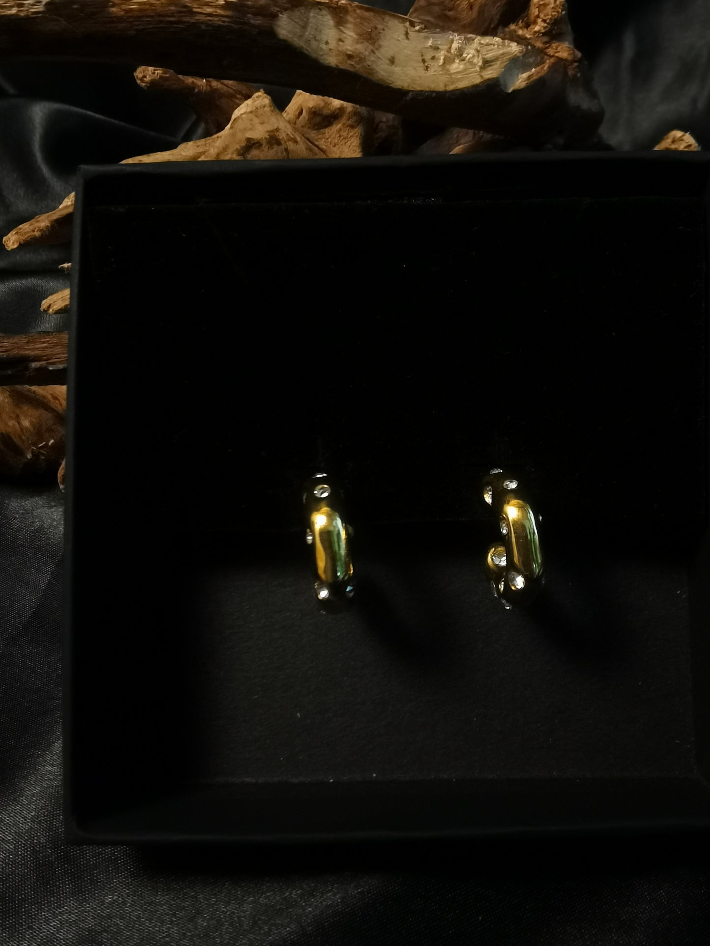 C hoop Zircon Earrings 18k gold-plated Titanium Steel GMJE34