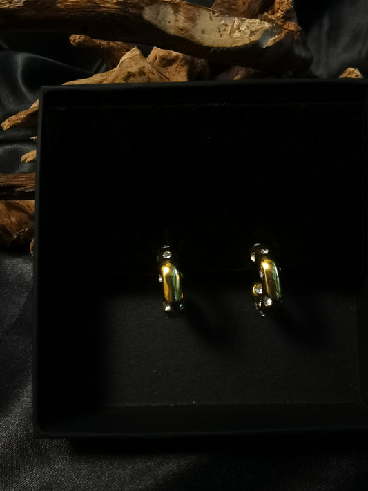 C hoop Zircon Earrings 18k gold-plated Titanium Steel GMJE34