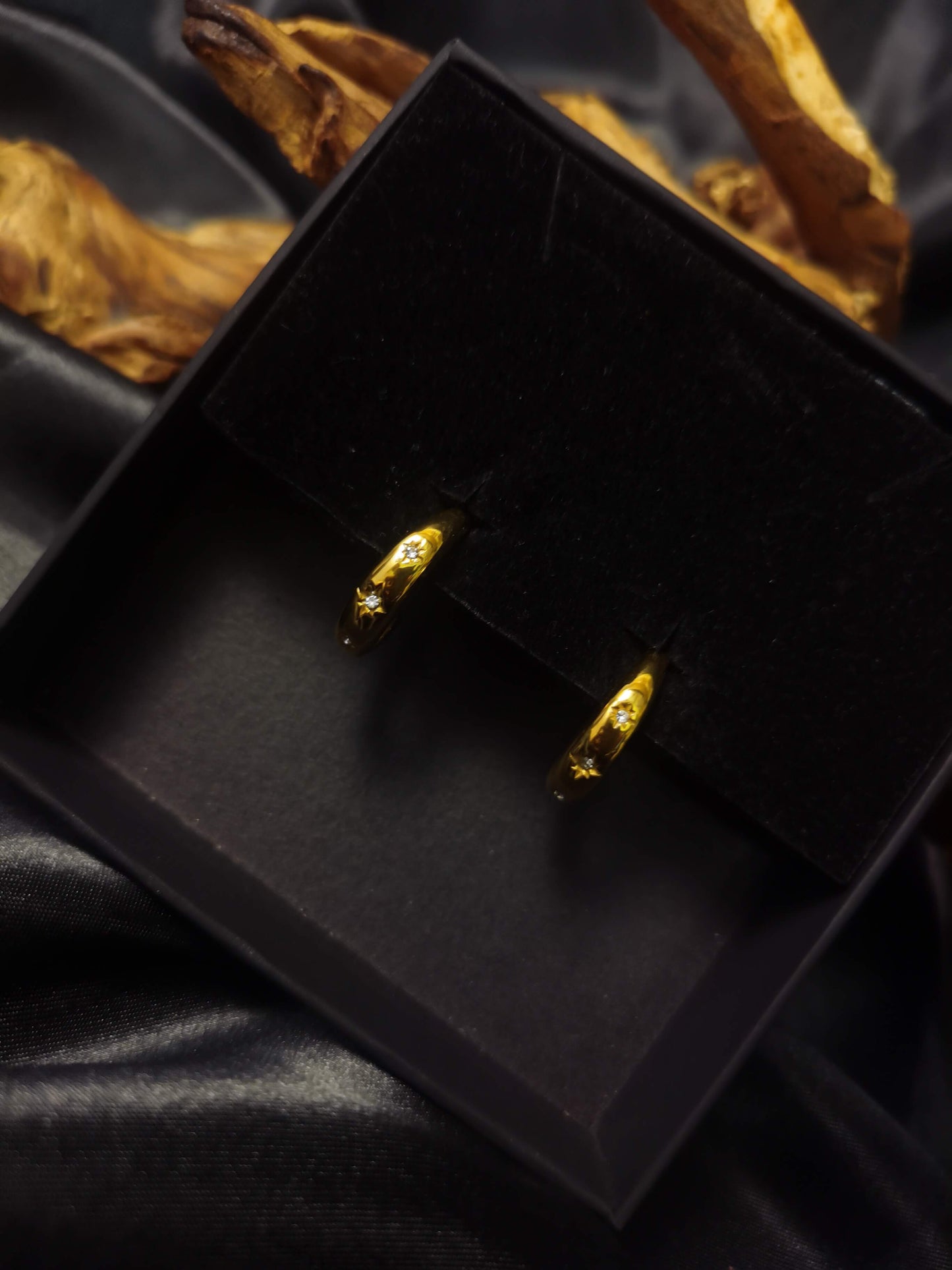 C hoop Earrings 18k gold-plated Titanium Steel Zircon GMJE46